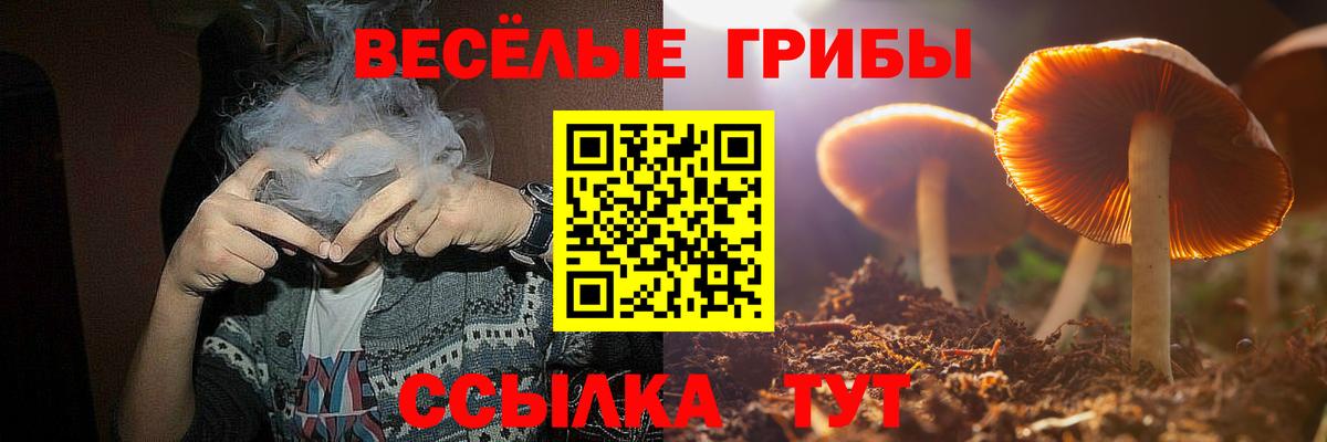 сколько стоит  Псилоцибиновые грибы GOLDEN TEACHER  Вход с VPN  Назрань  Галлюциногенные грибы прущие грибы 